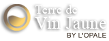 Logo Terre de vin jaune